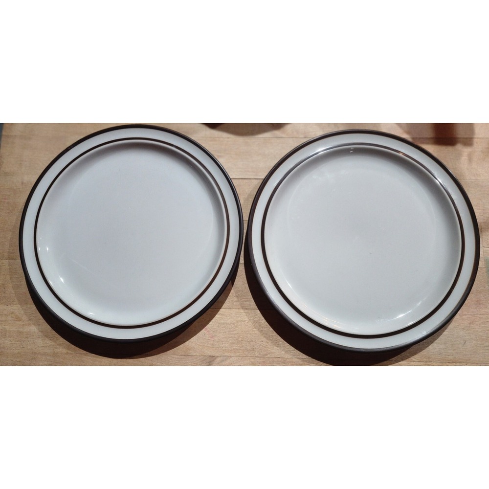 2 Vintage NORITAKE STONEWARE Tundra Pattern #8959 SALAD‎ PLATES JAPAN 8.25"